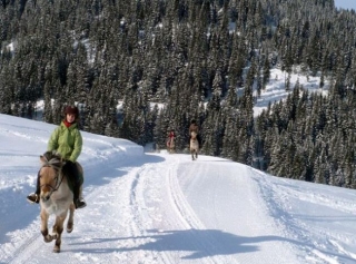  pbaños a caballo en invierno en Aravis 